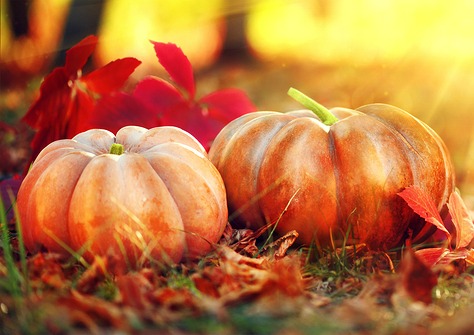 First United Methodist Church – Pumpkin Patch